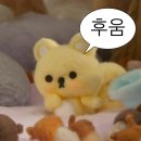씨카페