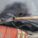 오토1급카센터 이미지