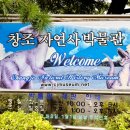 창조자연사박물관 | 창조자연사박물관 l 리얼하고 신비로운 공룡을 만날 수 있는 아이와 함께 가기 좋은 시흥 공룡박물관