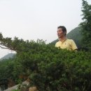 통합리듬댄스 이미지