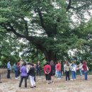 여산척화비 이미지