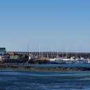 돌고래부동산공인중개사사무소 이미지