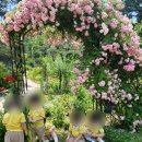 햇살자연어린이집 이미지