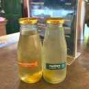 그린하우스 | 치앙마이 올드타운 숙소 그린타이거하우스 장단점 2박 후기, 조식 추천 메뉴까지