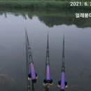 나암천 Daum카페