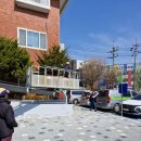 건물주변 은행나무조경작업
