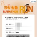 영광군스포티움 | 2026 영광 광풍마라톤대회 참여 및 하프코스 완주 후기 (feat. 하프 완주 5번째)