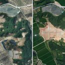 녹지태양광발전소 이미지