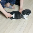 그루밍데이 이미지