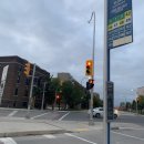 STELLA KOREA 이미지