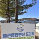 프리독펜션B | 논산 애견동반 숙소 프리독애견펜션 후기