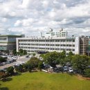 도림고등학교 이미지