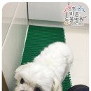 경희궁 바른 동물병원 이미지