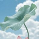 씨 라이프 이미지