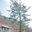 성전암등산로 Daum카페