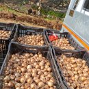 버드네농장 이미지