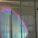 폴 레이더