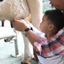 청계목장 이미지