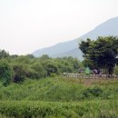덕풍천 산책로 티스토리
