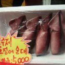 속초아저씨튀김맛집
