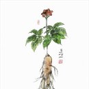 캘리수묵화 이미지