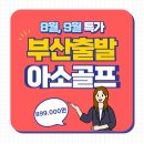 돈키호테-무식한 소 | 부산출발 일본골프 9월특가 2박3일 해외골프여행 아소 골프