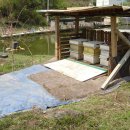 못골농장 이미지