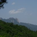 삼성사 이미지