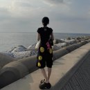 뚜벅뚜벅 제주도 애월 힐링 여행일지