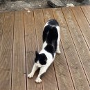 디사이드온 이미지