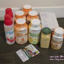 D00308 | [아이허브] 4월 구매물품(귤젤리,오렌지젤리,레몬젤리,황사마스크,립밤,에코버얼룩제거제,생강가루)