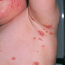 솔펫 동물병원 이미지