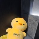 성산필내과의원 | 창원 포텐자 주베룩스킨 아쿠아필 까지 2회차 후기 (창원예쁨주의쁨) 노필터 내돈내산