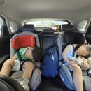 동진목장 이미지