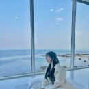 천송이풀빌라 | [포항 풀빌라 비다펠리즈] 포항항 포항여행 1탄🤍. 풀빌라 솔직후기