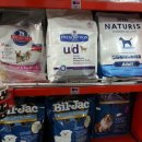 플러스애견미용실 이미지