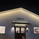 코코멀티샵 | 보홀 우베코 디엠예약 레몬참치파스타 코코망고커리 내돈내산