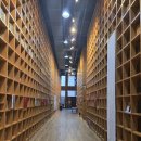 파주도시마을 협동조합 | [파주출판도시] 감성 숙소 추천! 지지향 라이브러리 스테이 후기