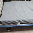장기2단 네이버블로그