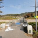 양남초 상계분교 이미지