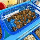 호남횟집 이미지