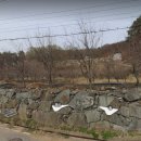 안금농장 이미지