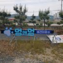 멍앤멍 애견미용실 이미지