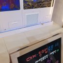 킹당구장 | [고성 델피노 리조트] 카페, 오락실, 탁구장, 당구장, 식당, 마트, 수영장, 조식뷔페, 고깃집 등 델피노...