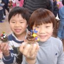 무지개나라유치원 이미지