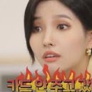 웰릭스렌탈비