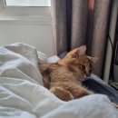 윤연당(진주제빵소) 이미지