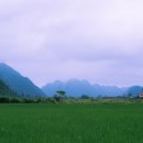 11번가부동산공인중개사사무소 이미지