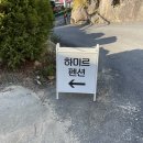 하미르펜션 이미지