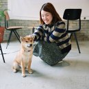 카페미카